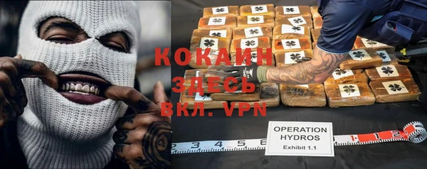 прущие грибы Вязьма