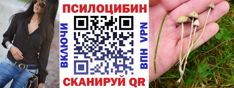 наркота  Холм  Псилоцибиновые грибы прущие грибы 